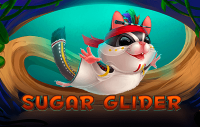 Sugar Glider